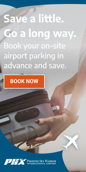 Q4 Advance Booking Promo B 300x600