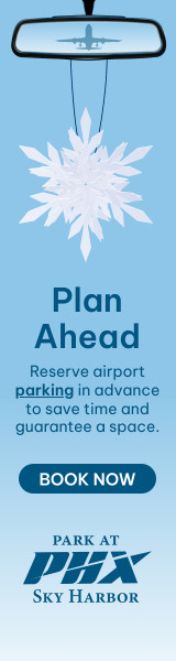 Q4 Blue Winter Holiday Book in Advance 160x600