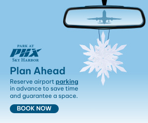 Q4 Blue Winter Holiday Book in Advance 300x250