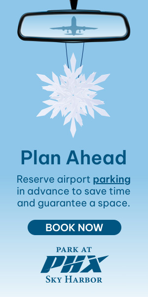 Q4 Blue Winter Holiday Book in Advance 300x600