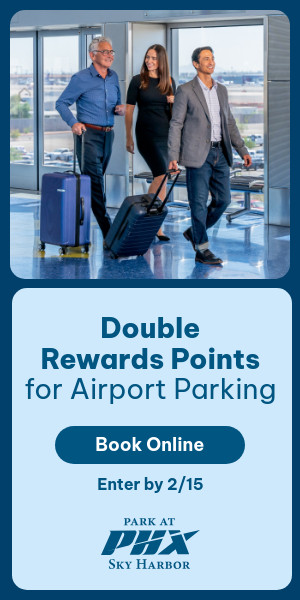 Ace_FY25_January-Double-Points_300x600