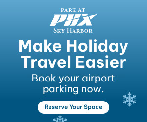 Ace_FY25_Winter-Ads_300x250