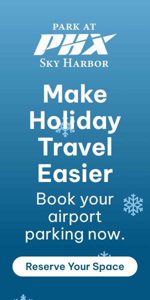 Ace_FY25_Winter-Ads_300x600