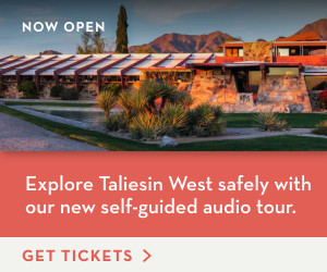 FLW_FY20_Visits_A_300x250