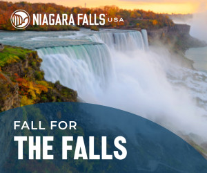 NF_FY19_Fall_Shopping_300x250